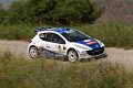 1 Peugeot 207 S2000 P.Andreucci - A.Andreussi (46)